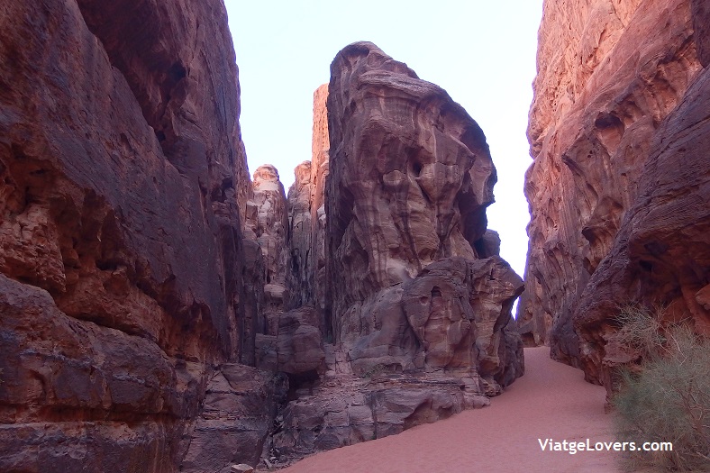Wadi Rum -ViatgeLovers.com