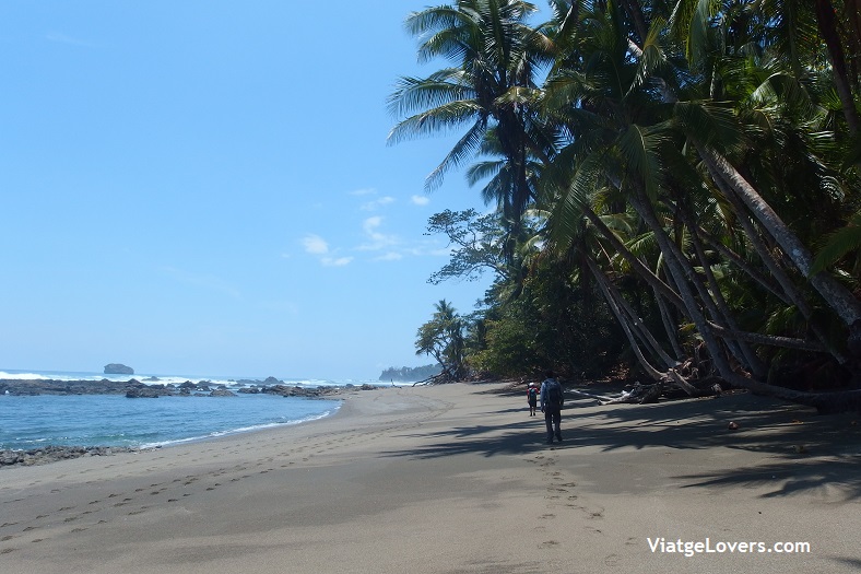 Corcovado, Costa Rica -ViatgeLovers.com