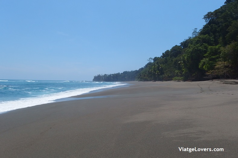 Corcovado, Costa Rica -ViatgeLovers.com