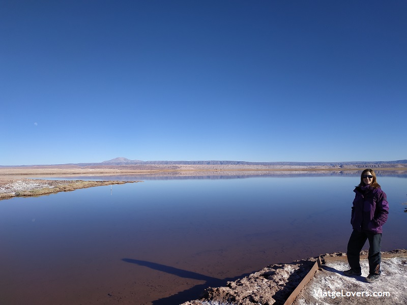 Lagunas Altiplánicas, Atacama -ViatgeLovers.com