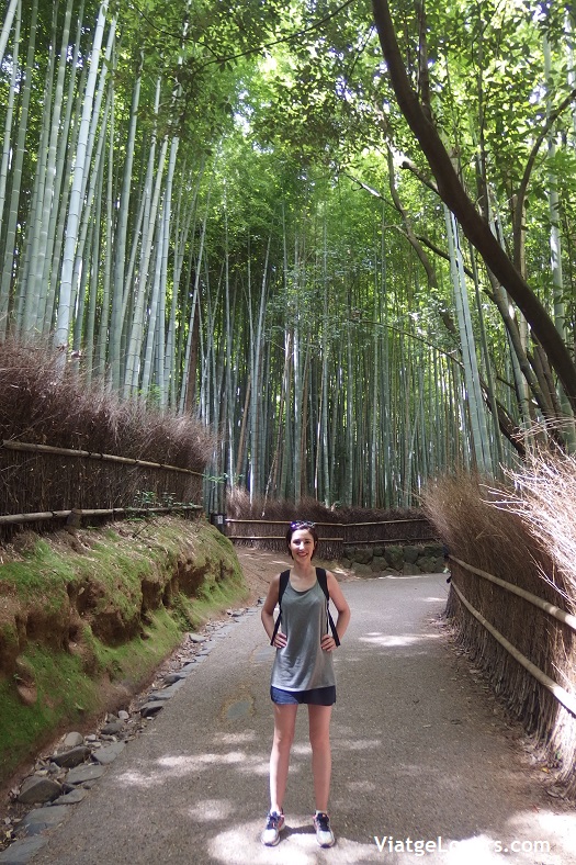 Arashiyama. Japón -ViatgeLovers.com