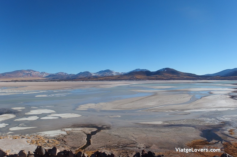 Lagunas Altiplánicas, ruta por el desierto de Atacama -ViatgeLovers.com