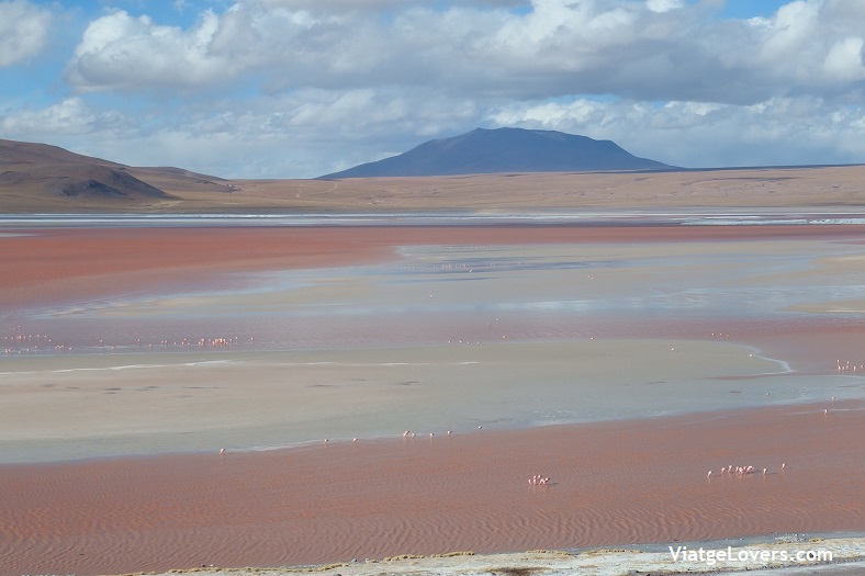 Atacama -ViatgeLovers.com