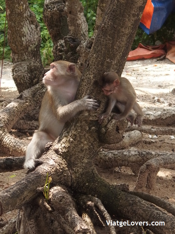 Monkey Island. Vietnam -ViatgeLovers.com