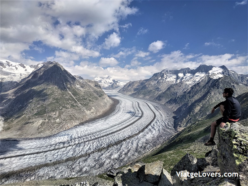 glaciar aletsch, Roadtrip por Suiza -ViatgeLovers.com