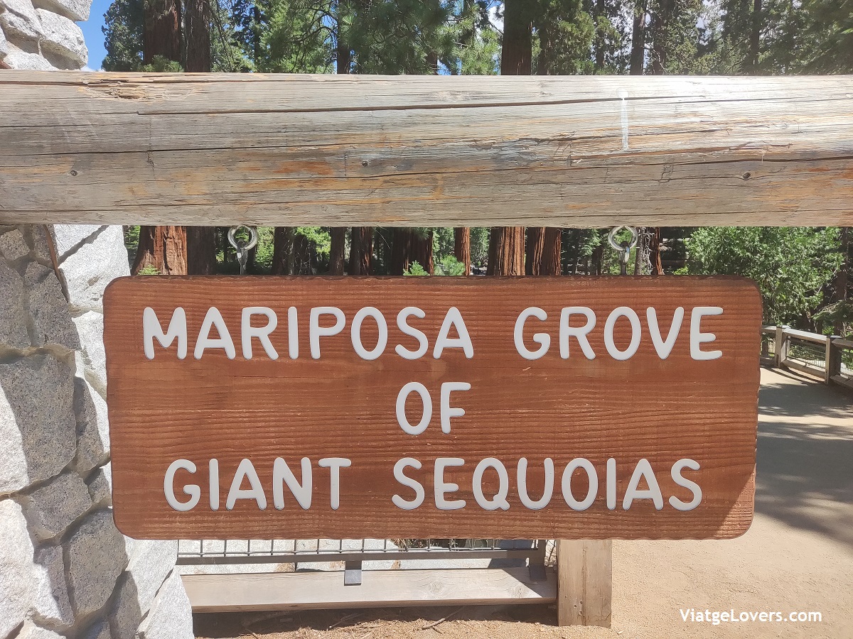 Mariposa Grove -ViatgeLovers.com