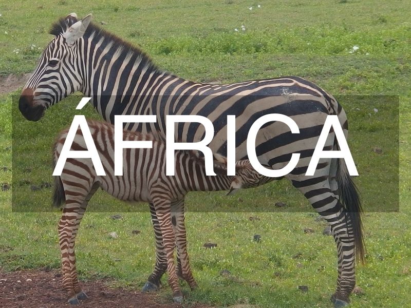 África -ViatgeLovers.com