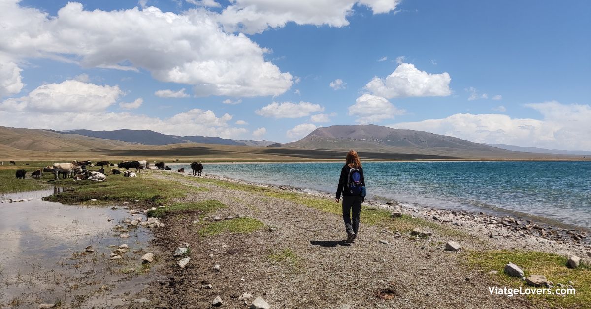 Song Kul a Bishkek. Kirguistán -ViatgeLovers.com